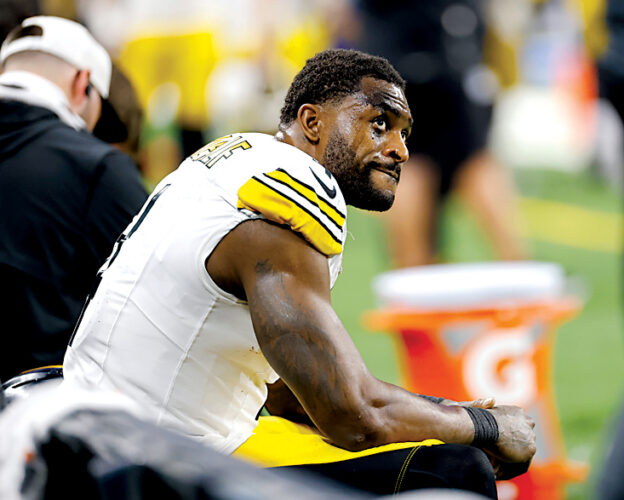 Pittsburgh Steelers' DK Metcalf swipes at Detroit Lions fan